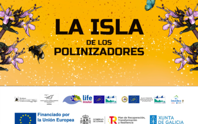 Llega a Mallorca la exposición ‘La isla de los polinizadores’ que busca concienciar sobre la importancia de estos animales